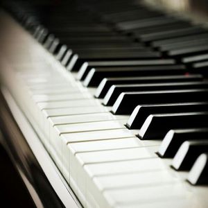 国模生殖BBVVGOG0
