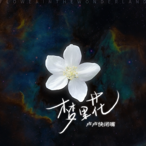 国模生殖BBVVGOG0
